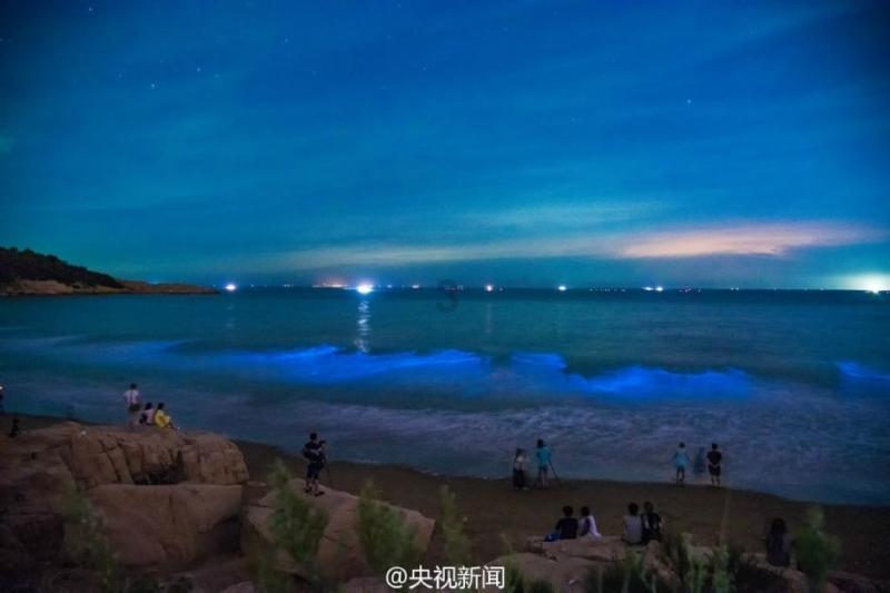 巧虎踢足球终结版